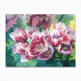 Pink Tulips Canvas Print