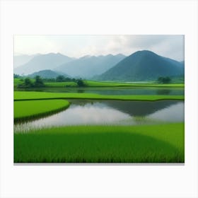 Rice Paddy Field Canvas Print