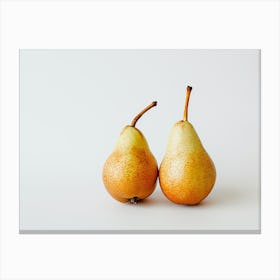 Two Pears On A White Background Canvas Print