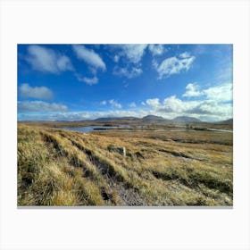 Rannoch Moor 436 Toile