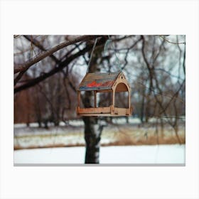 Bird Feeder 1 Canvas Print