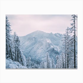 Frozen Mountains Canvas Print