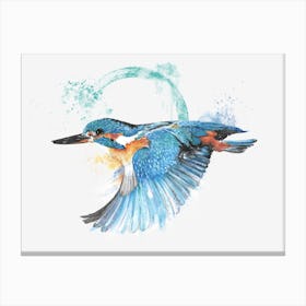 Kingfisher in flight Canvas Print