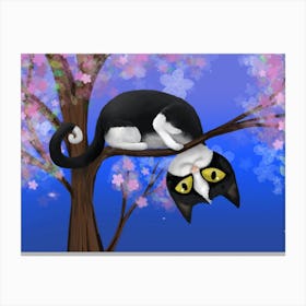 A funny cat in a blossom tree Canvas Print