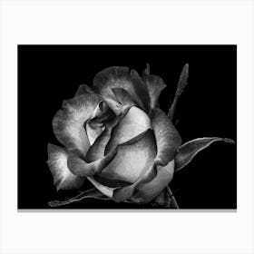 Black And White Rose Canvas Print