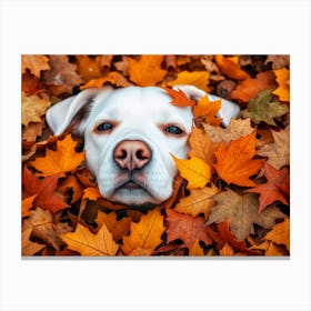 Autumn Dog Canvas Print