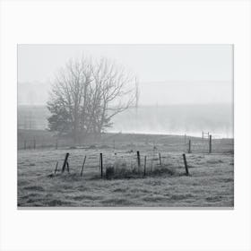 Early morning at the farm Canvas Print