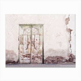 Old Door Canvas Print