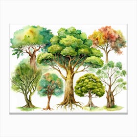 Watercolor Collection Of Various Trees Canvas Print