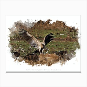 Veal Krous Vulture Feeding Station, Northwestern Cambodia, Cambodia Canvas Print