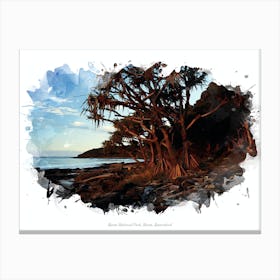 Noosa National Park, Noosa, Queensland Canvas Print