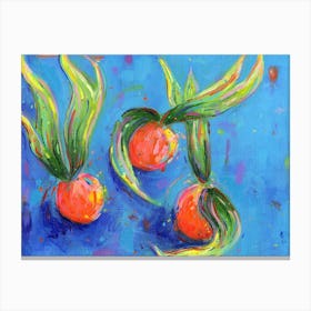 Physalis Canvas Print