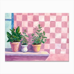 Potted Herbs On A Windowsil Pink Checkerboard 1 Canvas Print
