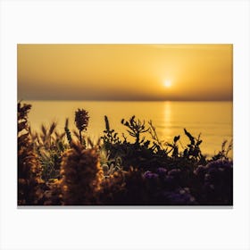 Serene Golden Sunset Over The Sea With The Wild Flowers 4 Canvas Print