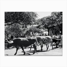 Texas Longhorns - Downtown Fort Worth Texas Canvas Print