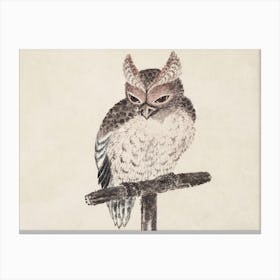 Owl, From Album Of Sketches, Katsushika Hokusai Canvas Print