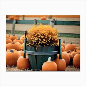 Fall Pumpkins Canvas Print