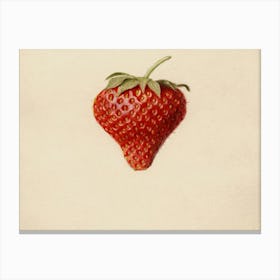 Strawberry - Strawberry Stock Videos & Royalty-Free Footage Canvas Print