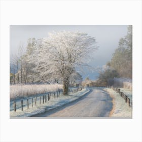 A Frosty Morning Canvas Print