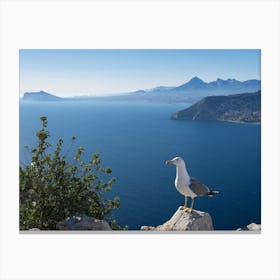 Seagull and the blue Mediterranean Sea Canvas Print