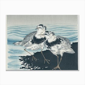 Two Sandpipers Canvas Print