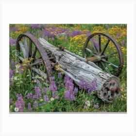 Old Wagon In Wildflowers 1 Canvas Print