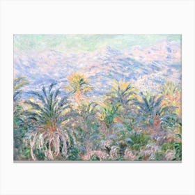 Palm Trees At Bordighera (1884), Claude Monet Canvas Print