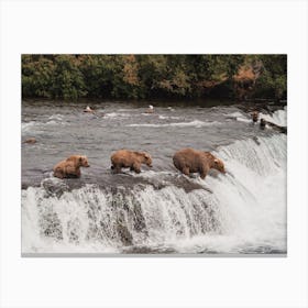 Bears Fishing On River Canvas Print