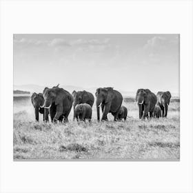 African Elephant Herd Canvas Print