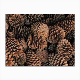 Winter Scented Pine Cones Canvas Print