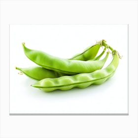 Green Peas 6 Canvas Print