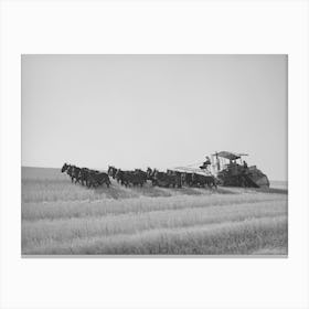 Twenty Mule Drawn Combine In The Wheat Fields Of Walla Walla County, Washington By Russell Lee Canvas Print