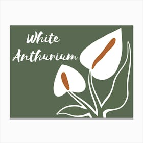 White Anthurium Canvas Print