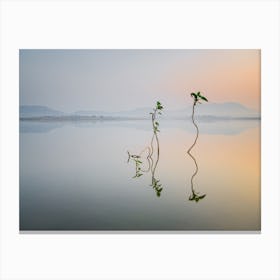 Reflection Of Life Canvas Print