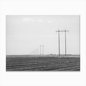 Untitled Photo, Possibly Related To Power Lines Along Highway In Dawson County, Texas By Russell Lee Canvas Print