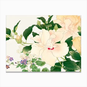 Chinese Hibiscus Canvas Print