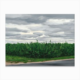 Cloudy Day Canvas Print