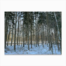 Snowy Forest 10 Canvas Print