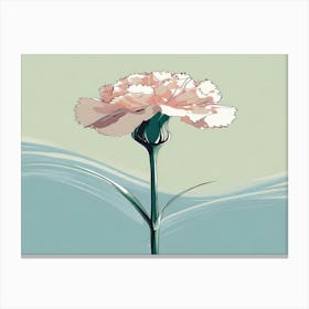 Carnation 4 Canvas Print