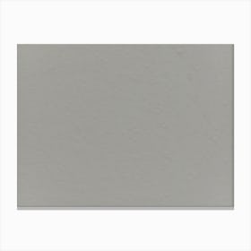 Gray Solid Background Canvas Print