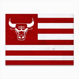 Chicago Bulls 3 Canvas Print