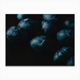 Blue Plums Canvas Print