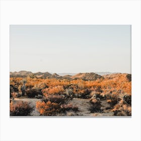 Warm Desert Plants Canvas Print