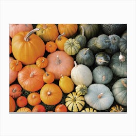 Pumpkins And Squash Canvas Print