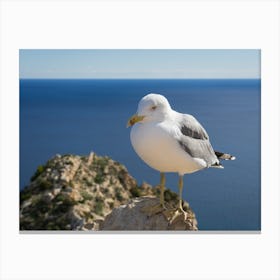 Seagull of the Mediterranean coast Canvas Print