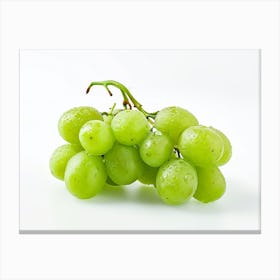 Green Grapes 2 Canvas Print