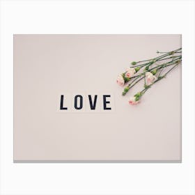 Love 2 Canvas Print