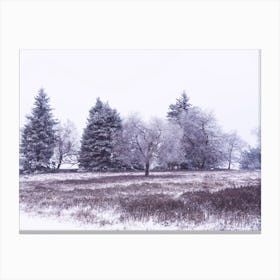 Winter Landscape in Winterberg Canvas Print