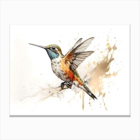 Kolibri Hummingbird - Water Color Painting 8 Canvas Print