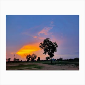 Sunset In A Field Canvas Print